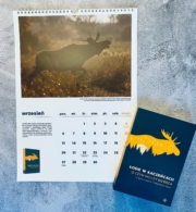 Pakiet noworoczny: kalendarz na 2021 rok i książka „Łosie w kaczeńcach”